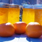 Dreamsicle Jelly