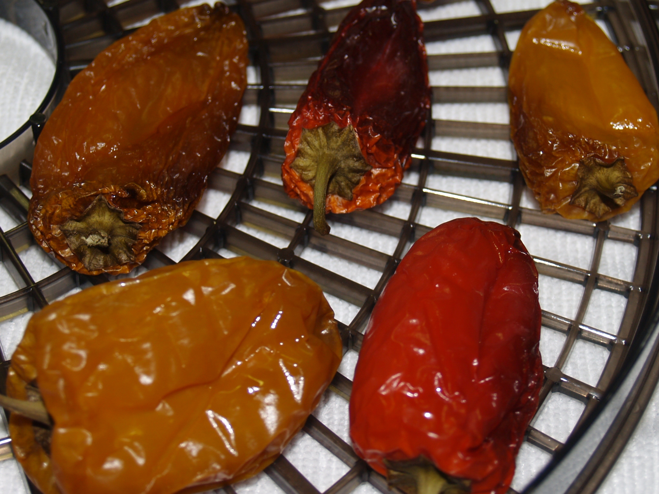 Dehydrating Peppers after Smoking Them