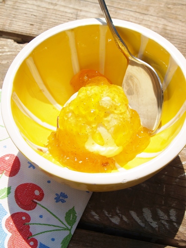 Dreamsicle Jam from Kelli's Kitchen