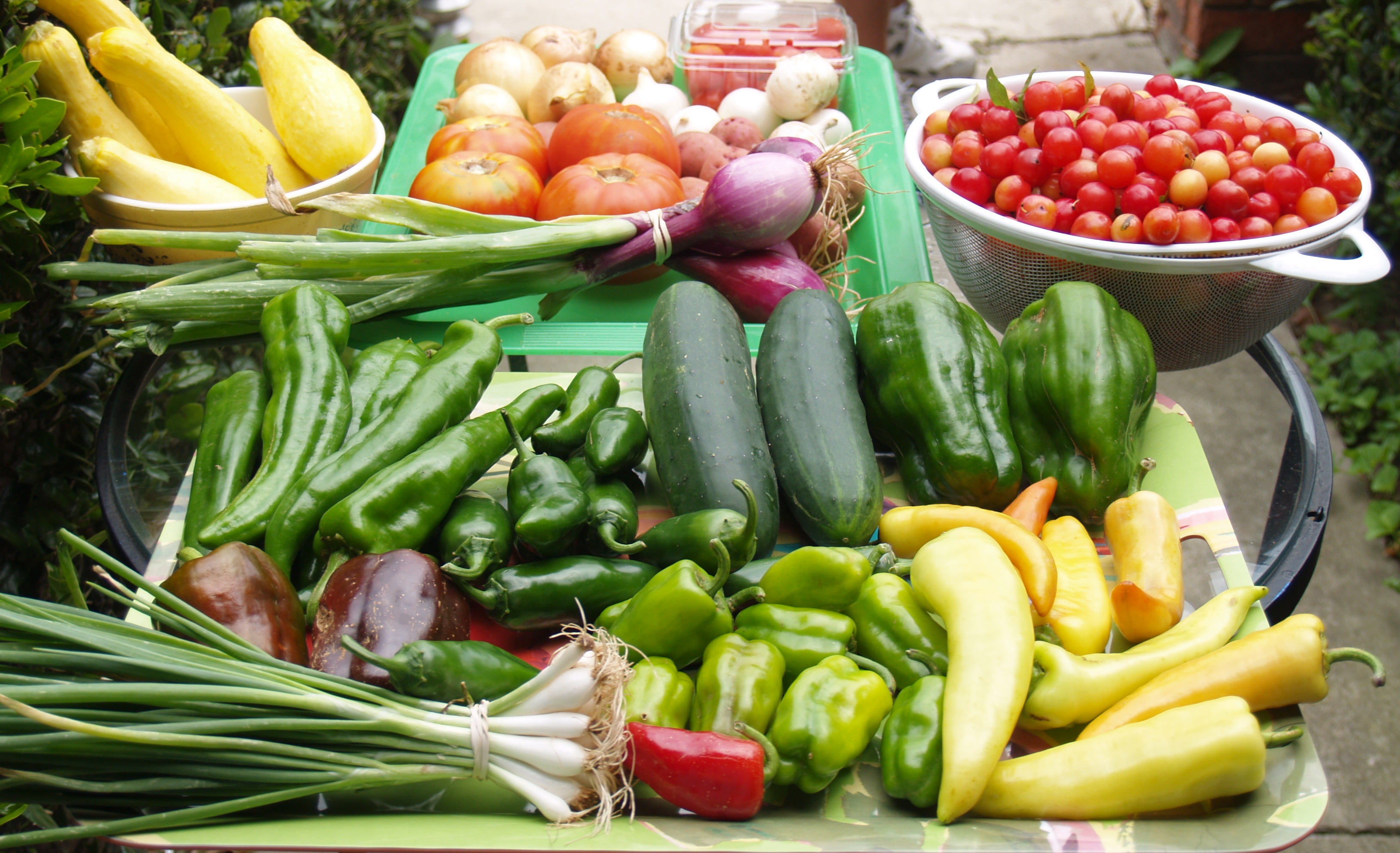 Farmer’s Market and Fins Up!