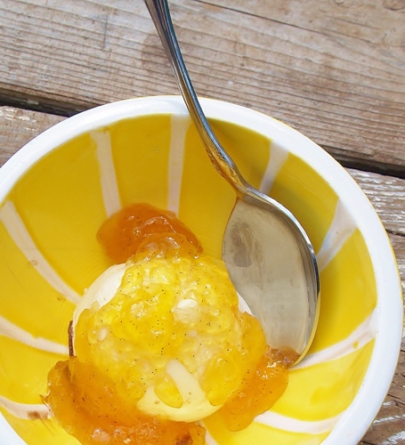 Dreamsicle Jelly
