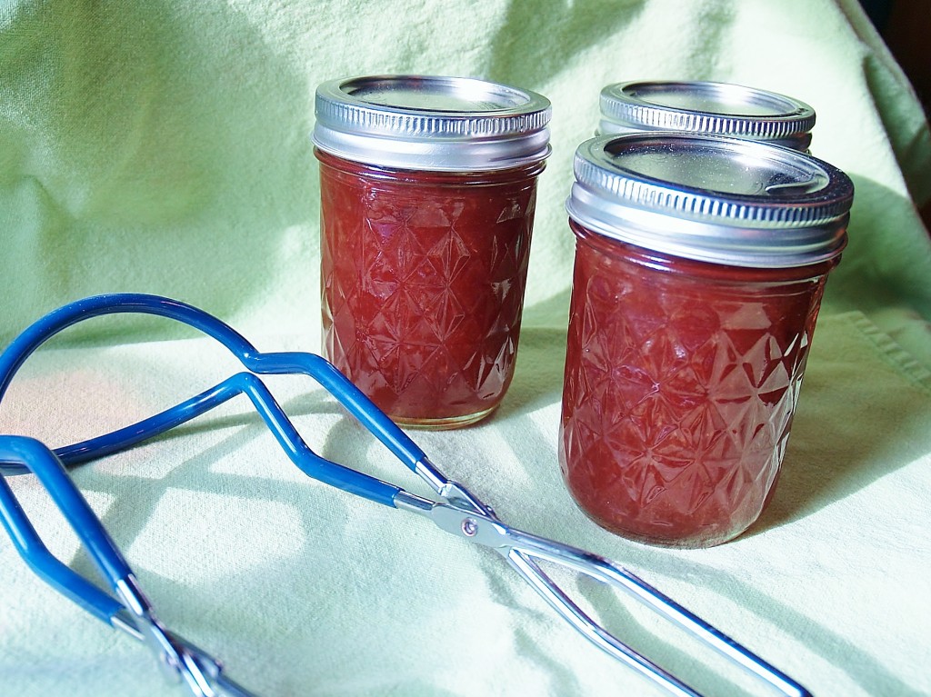 Have you been thinking of canning some of summer's bounty but just cannot imagine trying to eat it all before 2020?  Or, did you really get into the groove of canning, making all kinds of jam/jelly/marmalade then gave it to ALL your friends, family and neighbors as presents and STILL have cases of it left?  Have I got some ideas for you!