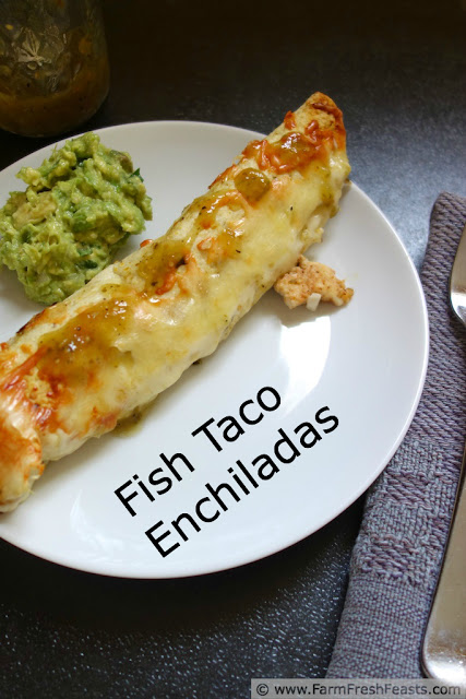 Fish Taco Enchiladas