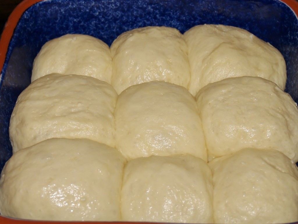 Potato Rolls for #BloggerCLUE – Kellis Kitchen