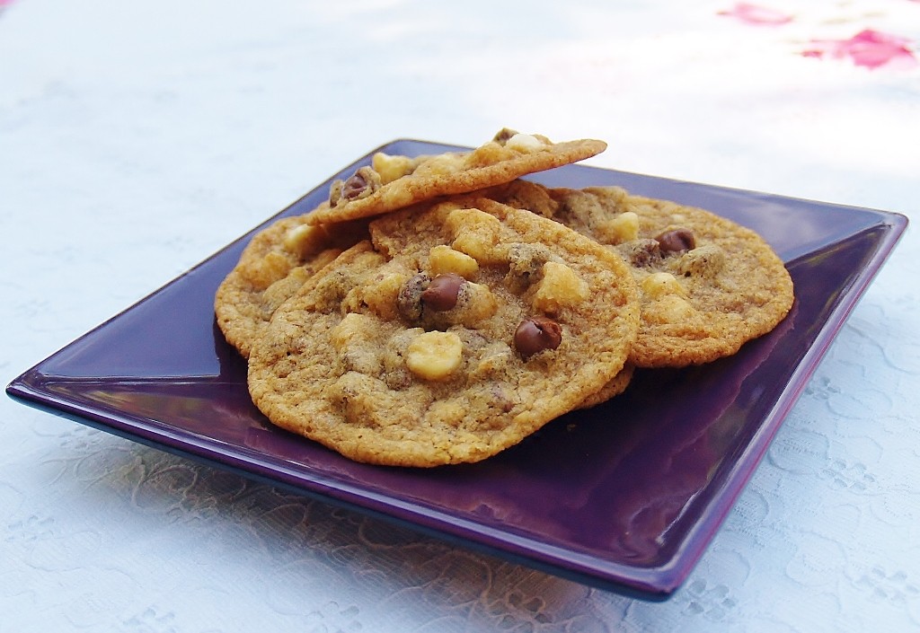 Graham Cracker Chocolate Chip Cookies #cookieofthemonth #cookies