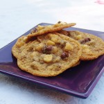 Graham Cracker Chocolate Chip Cookies #cookieofthemonth