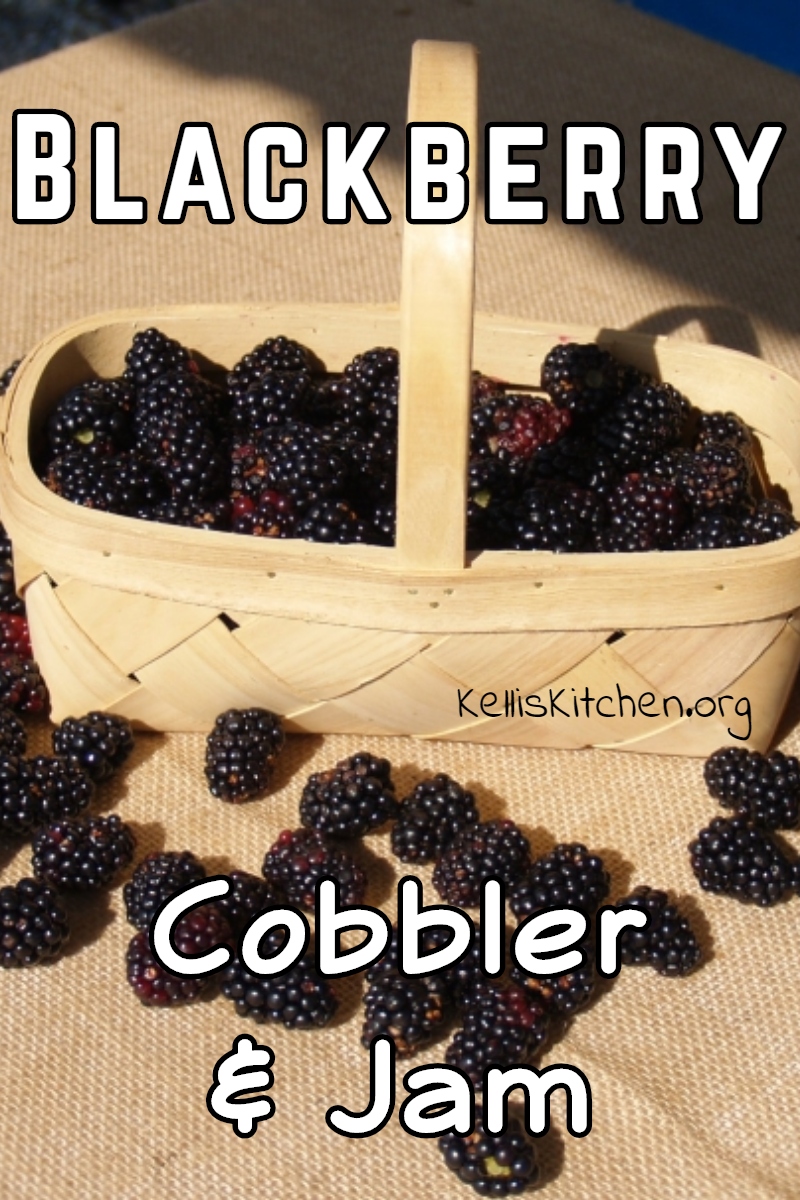 Blackberry Cobbler & Jam via @KitchenKelli
