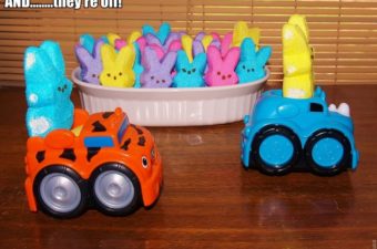 Play With Your Food: Peeps Dioramas